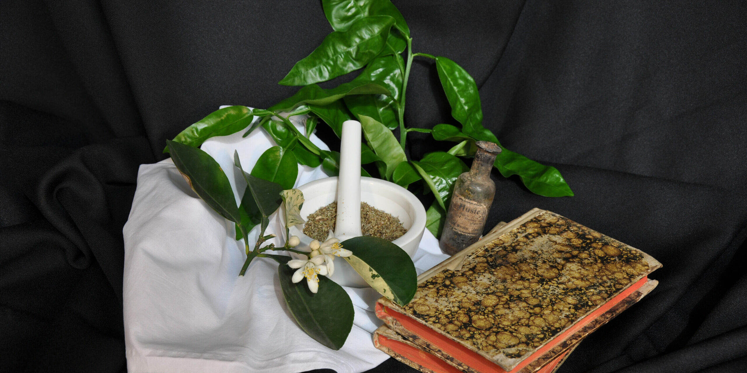 Zitrus als Heilpflanze