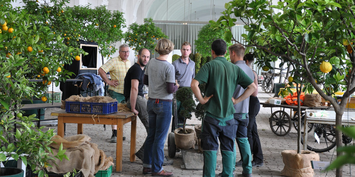 Teambesprechung beim Aufbau der Zitrustage, 2018 Teambesprechung beim Aufbau der Zitrustage, 2018