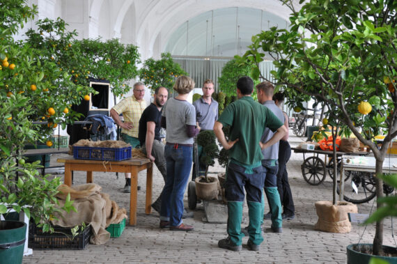 Teambesprechung beim Aufbau der Zitrustage, 2018