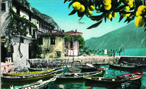 Hafen mit Fischerbooten und einem Zitruszweig